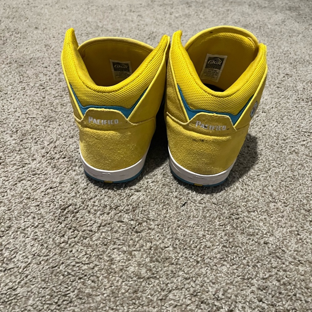 Pacifico x Lakai skate shoes
